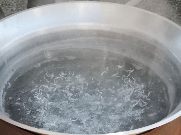 自分で作ると更に美味しいよ!釜揚げしらす丼 海湖館きらく市食堂 「しらす釜揚げ体験」 自分で作ると更に美味しいよ!釜揚げしらす丼 海湖館きらく市食堂 「しらす釜揚げ体験」
