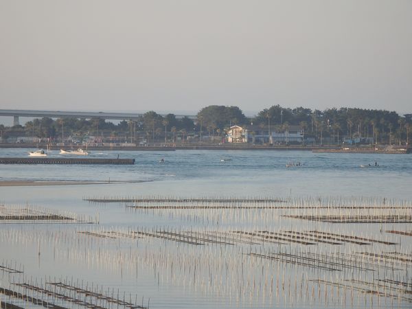 南浜名湖・新居町からおはようございます! 南浜名湖・新居町からおはようございます!