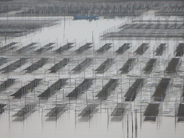 南浜名湖・新居町からおはようございます。 南浜名湖・新居町からおはようございます。