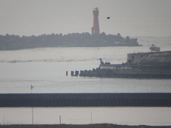 南浜名湖・新居町からおはようございます。 南浜名湖・新居町からおはようございます。