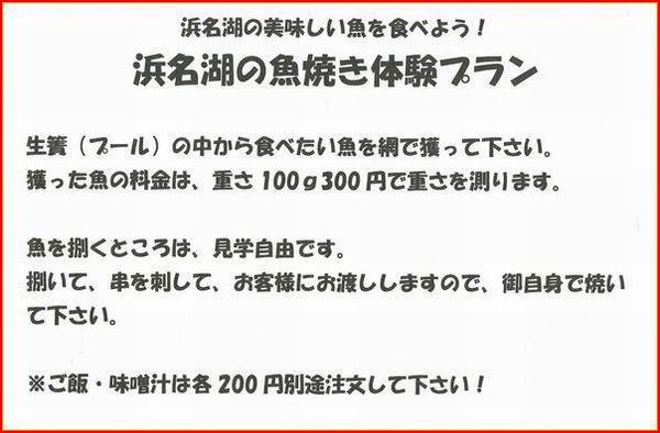 チヌ(黒鯛)とキビレ(キチヌ)の見分け方! チヌ(黒鯛)とキビレ(キチヌ)の見分け方!