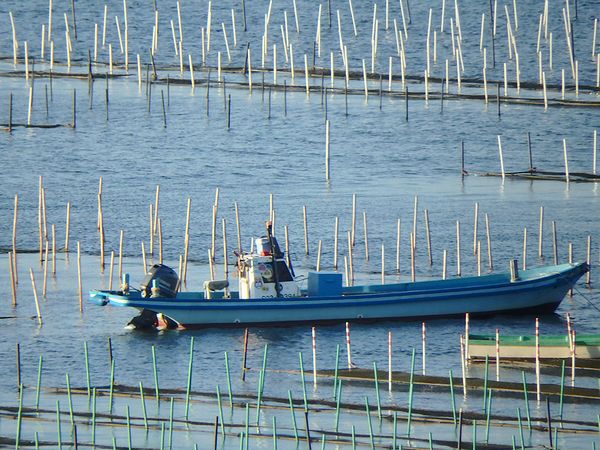 南浜名湖新居町からおはようございます。 南浜名湖新居町からおはようございます。