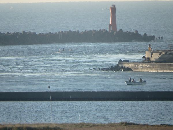 南浜名湖新居町からおはようございます。 南浜名湖新居町からおはようございます。