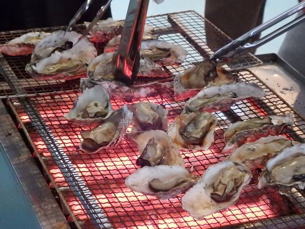 平成28年1月9日(日)新居町の2ヶ所で牡蠣小屋オープンします! 平成28年1月9日(日)新居町の2ヶ所で牡蠣小屋オープンします!