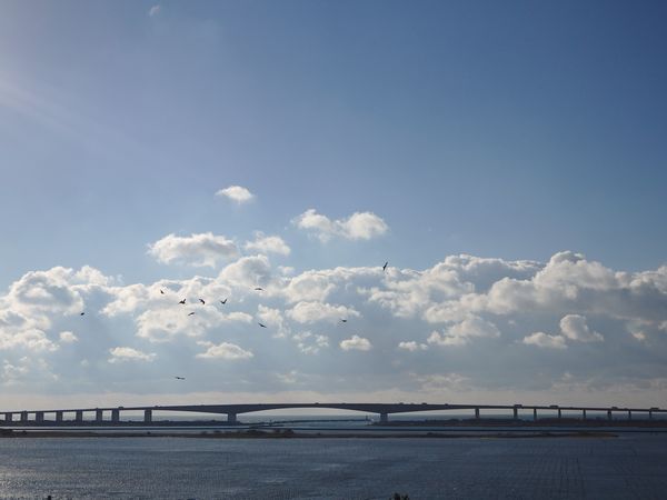 南浜名湖・新居町新弁天からこんにちは! 南浜名湖・新居町新弁天からこんにちは!