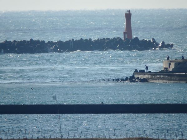 南浜名湖・新居町新弁天からこんにちは! 南浜名湖・新居町新弁天からこんにちは!