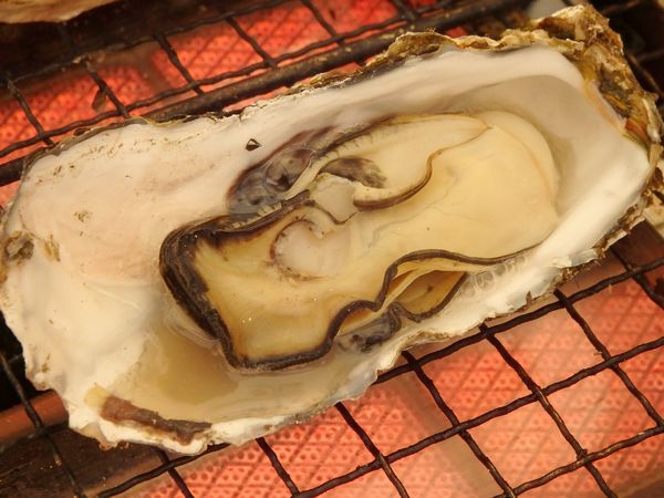 平成28年1月9日(日)新居町の2ヶ所で牡蠣小屋オープンします! 平成28年1月9日(日)新居町の2ヶ所で牡蠣小屋オープンします!
