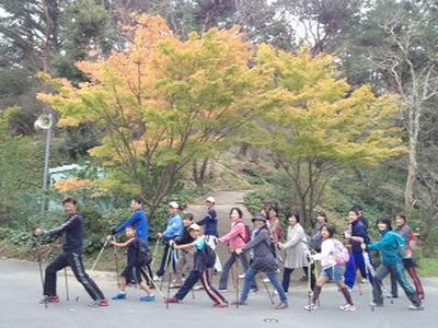 2本のポールで、正しく歩いて健康に!