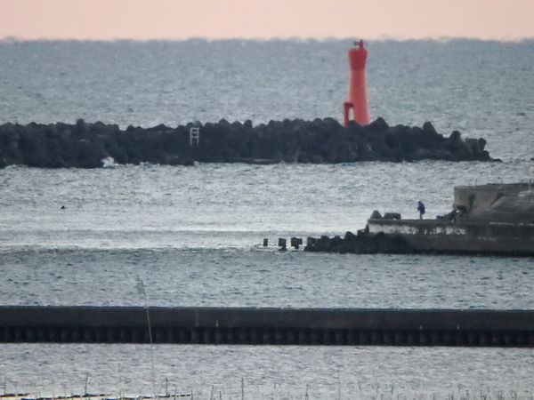 南浜名湖新居町からおはようございます。 南浜名湖新居町からおはようございます。