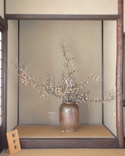 旅籠紀伊国屋「ひな人形展」 開催中! 旅籠紀伊国屋「ひな人形展」 開催中!