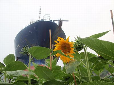 海に黙祷