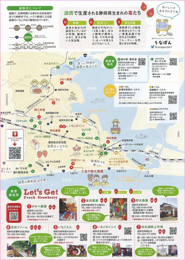 南浜名湖KOSAI産の美味しい苺で、「一期一会」しませんか? 南浜名湖KOSAI産の美味しい苺で、「一期一会」しませんか?