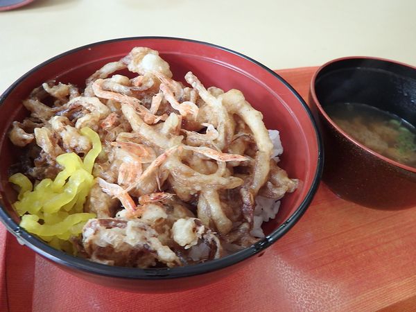 望洋荘 季節のどんぶり新メニュー登場! 望洋荘 季節のどんぶり新メニュー登場!