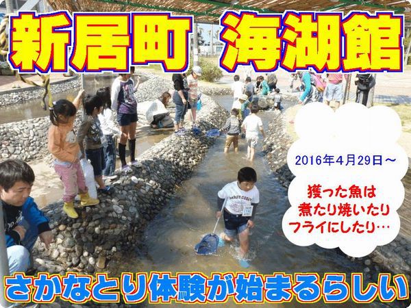 海湖館きらく市食堂「楽しい&美味しい浜名湖「食」体験」開催まで、あと2週間です! 海湖館きらく市食堂「楽しい&美味しい浜名湖「食」体験」開催まで、あと2週間です!