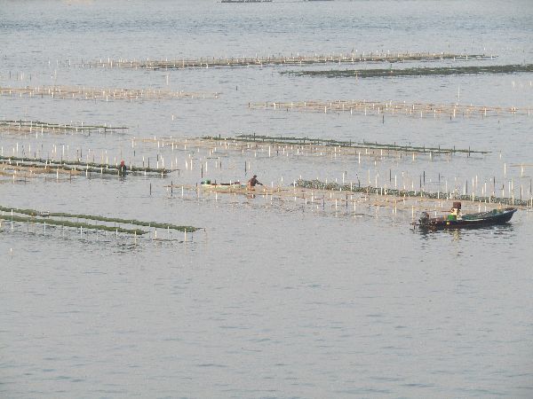 南浜名湖KOSAIから、おはようございます! 南浜名湖KOSAIから、おはようございます!