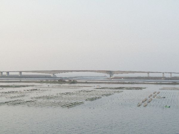 南浜名湖KOSAIから、おはようございます! 南浜名湖KOSAIから、おはようございます!