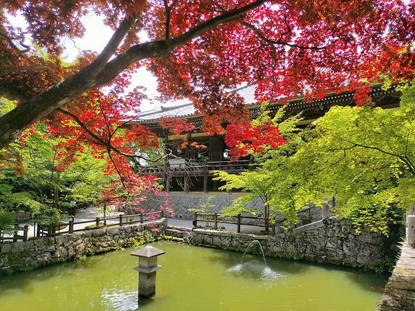 西国第25番霊場 播州清水寺 西国第25番霊場 播州清水寺