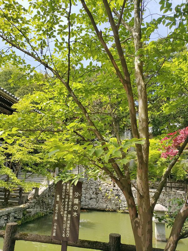西国第25番霊場 播州清水寺 西国第25番霊場 播州清水寺