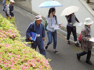 なつかしの昭和めぐり 「トロッコ列車が走る」 なつかしの昭和めぐり 「トロッコ列車が走る」