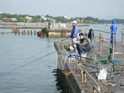 「新居町磯釣り大会」 大物は釣れたかな? 「新居町磯釣り大会」 大物は釣れたかな?