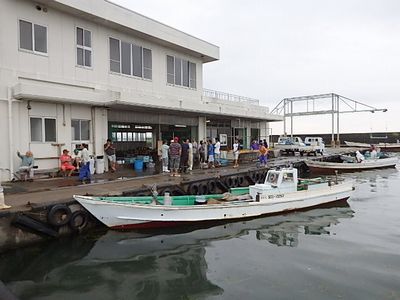 きらく市食堂 信ちゃんと行く湖西市場のお魚さん きらく市食堂 信ちゃんと行く湖西市場のお魚さん
