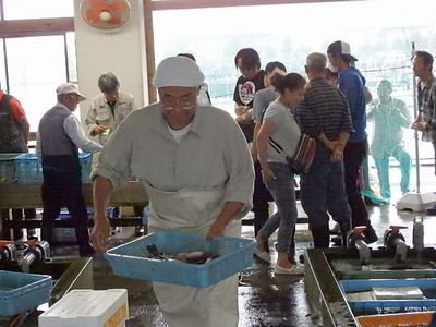 きらく市食堂 信ちゃんと行く湖西市場のお魚さん きらく市食堂 信ちゃんと行く湖西市場のお魚さん