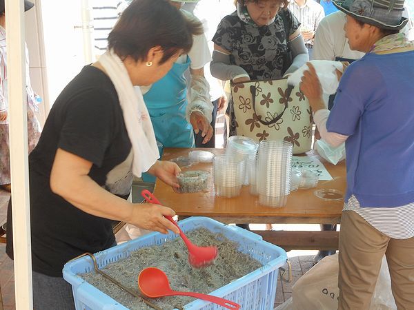 毎月第一土曜日の海湖館朝市の目玉は「獲れたて新鮮生シラス・出来立て釜揚げシラス」販売! 毎月第一土曜日の海湖館朝市の目玉は「獲れたて新鮮生シラス・出来立て釜揚げシラス」販売!
