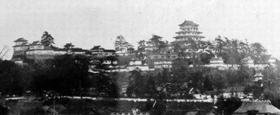 越前津山松平家の合印「剣大」の由来
