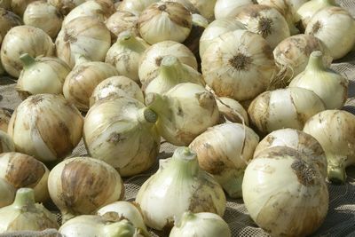 地域の家庭料理を学ぼう!