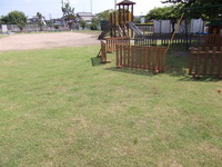 幼稚園園庭の芝生化事業