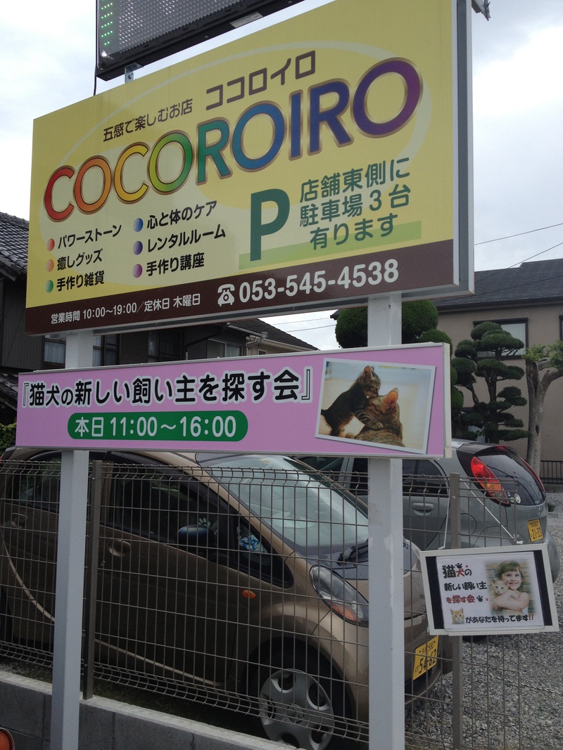 新しい飼い主さんを探す会inココロイロ 新しい飼い主さんを探す会inココロイロ