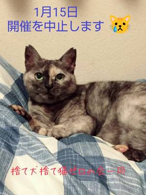 緊急のお知らせです 緊急のお知らせです