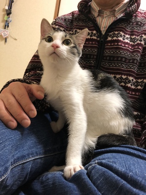 新しい飼い主さんを探す会inココロイロ 新しい飼い主さんを探す会inココロイロ