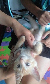 お医者さんごっこ♪