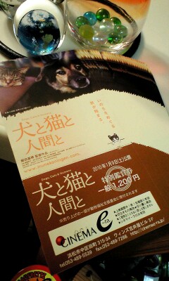 「犬と猫と人間と」