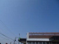 笑い多めに