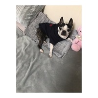 癒しだね。 2020/04/08 18:29:38