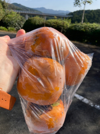農産物直売所　たざわの里 2024/11/20 08:35:00