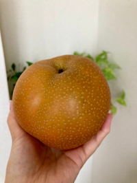 マルデン伊藤農園　磐田市
