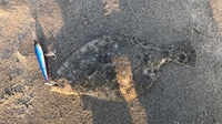 初釣り！！