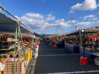 エコパで開催の陶器市に