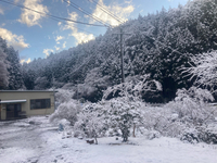 そちらも雪ですか？