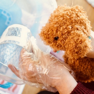 ガラスエッチング作業と 犬のぬいぐるみ