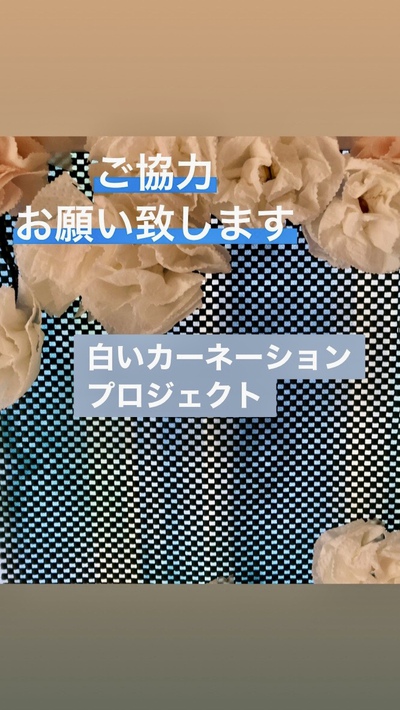白いカーネーションプロジェクト
