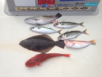 色々と… 2016/08/14 19:05:51