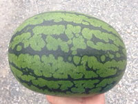 今日も… 2016/07/05 18:42:15