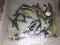 ふ〜… 2015/10/05 18:35:05