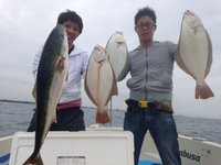 そろそろ… 2015/09/11 08:05:58