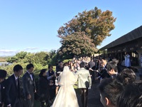 11/24 浜松駅前店　『Happy Wedding』 2017/11/24 21:18:27