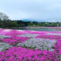 6/6 掛川店　☆ＧＷ☆ 2019/06/06 21:19:19